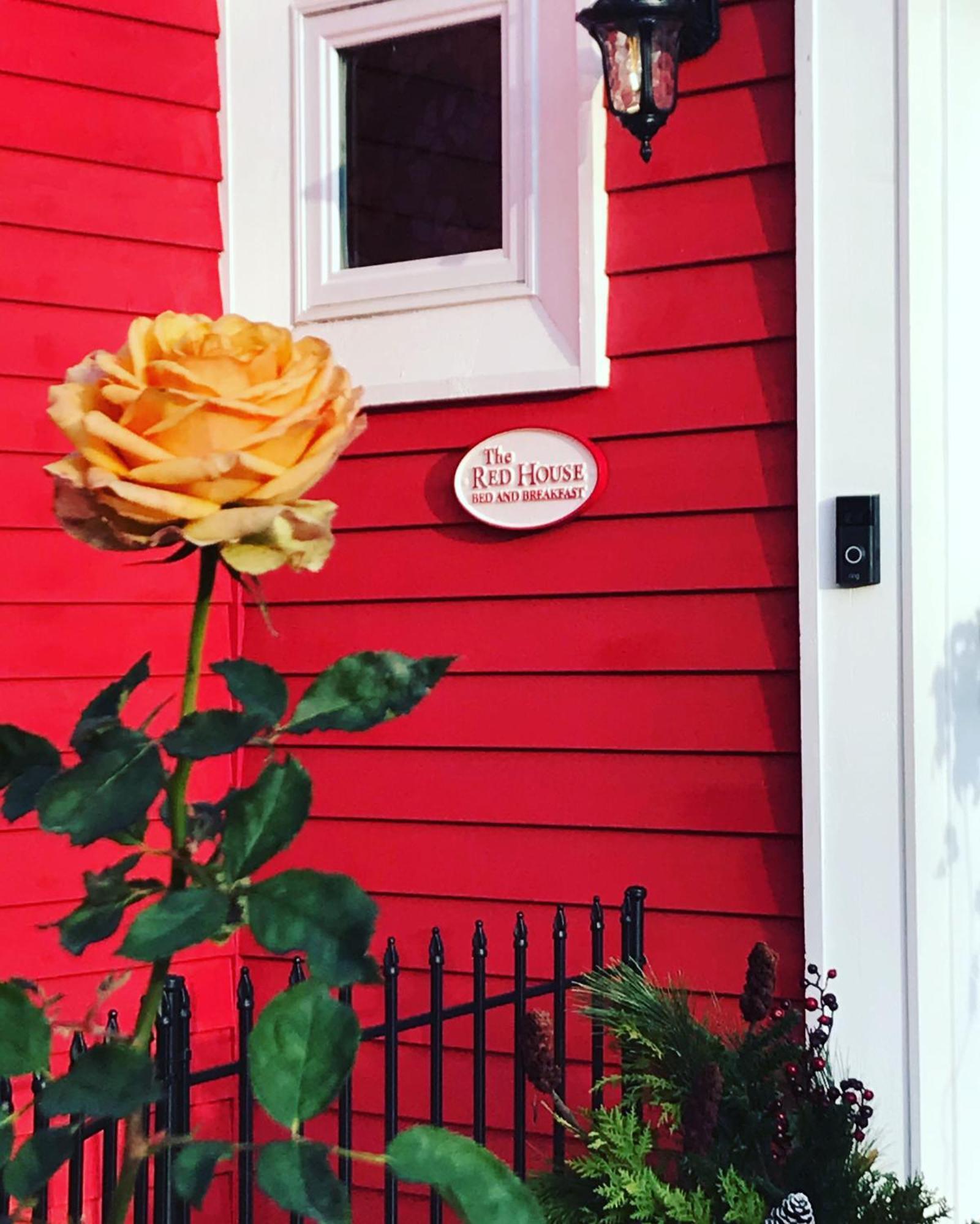 Bed and Breakfast The Red House Fredericton Exterior foto